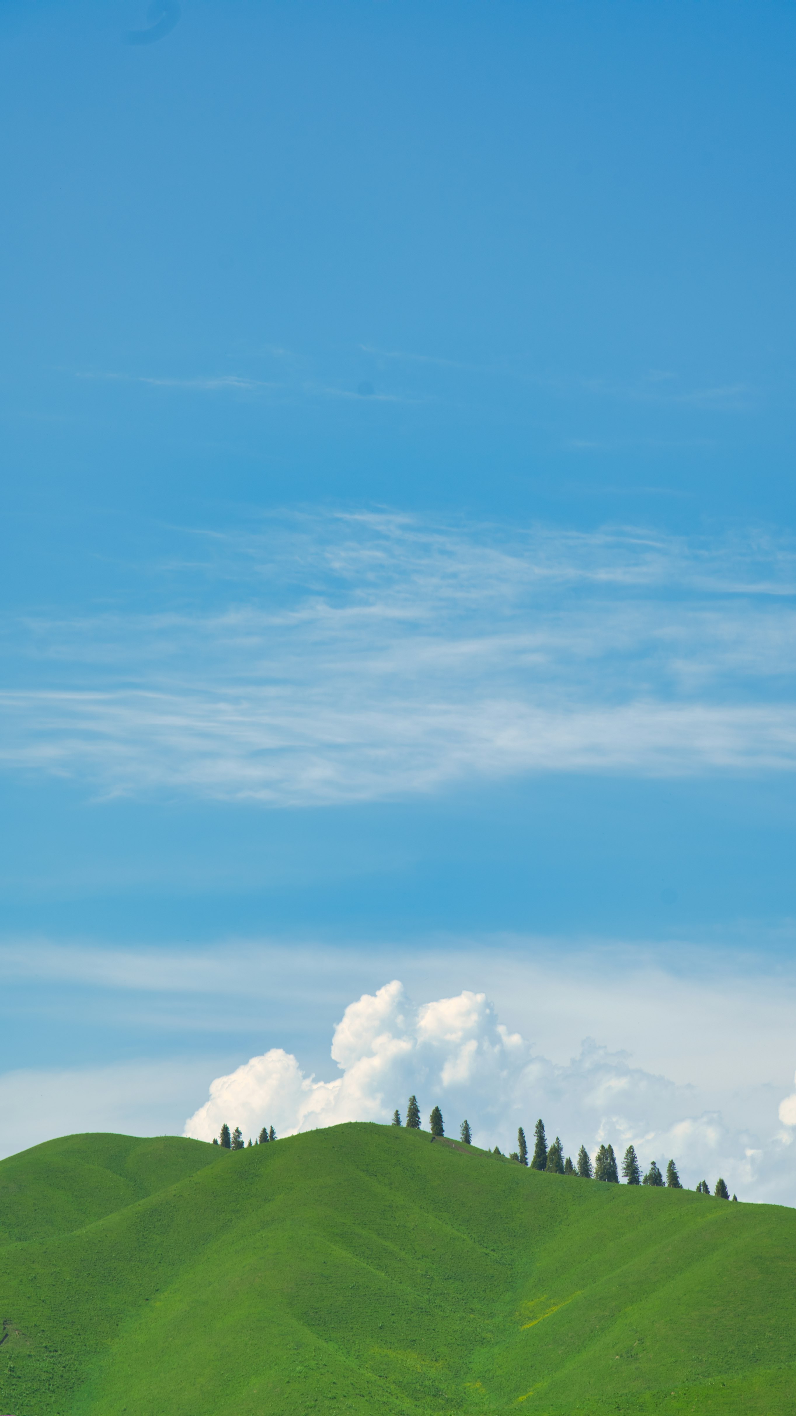 关于雅儿坦背景